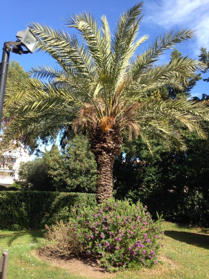Apartment Eden Saint Tropez Luaran gambar